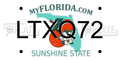 LTXQ72 Florida License Plate