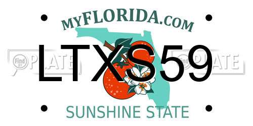 LTXS59 Florida License Plate