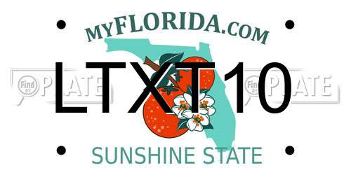 LTXT10 Florida License Plate