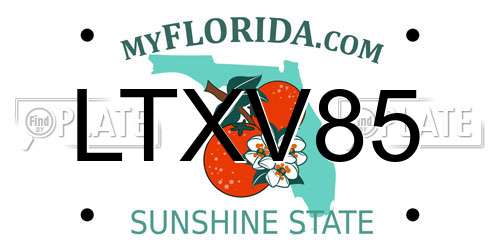 LTXV85 Florida License Plate
