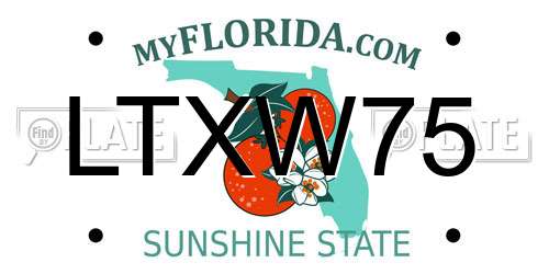 LTXW75 Florida License Plate