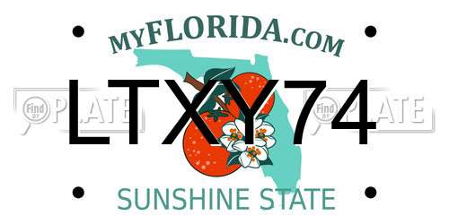 LTXY74 Florida License Plate