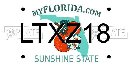 LTXZ18 Florida License Plate