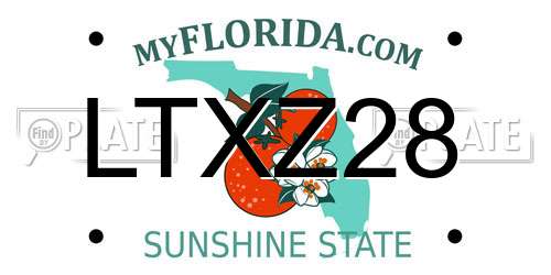 LTXZ28 Florida License Plate