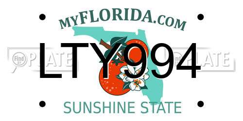 LTY994 Florida License Plate