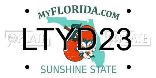 LTYD23 Florida License Plate