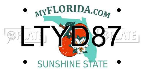 LTYD87 Florida License Plate
