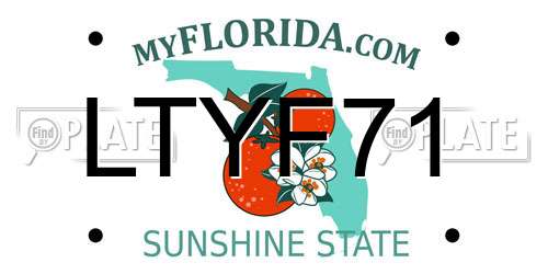 LTYF71 Florida License Plate