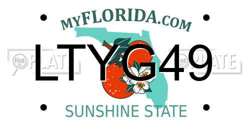 LTYG49 Florida License Plate