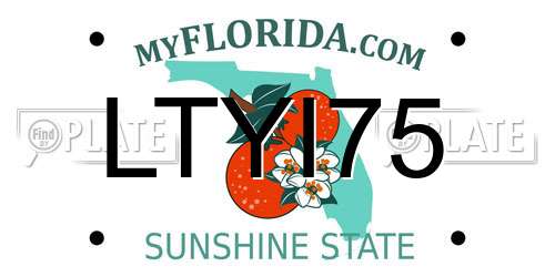 LTYI75 Florida License Plate