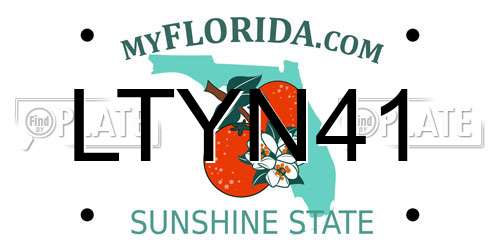 LTYN41 Florida License Plate
