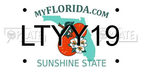 LTYY19 Florida License Plate