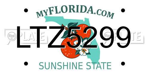 LTZ5299 Florida License Plate