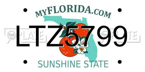 LTZ5799 Florida License Plate