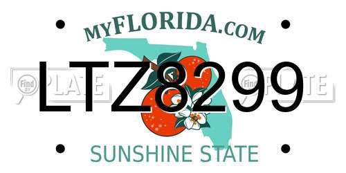 LTZ8299 Florida License Plate