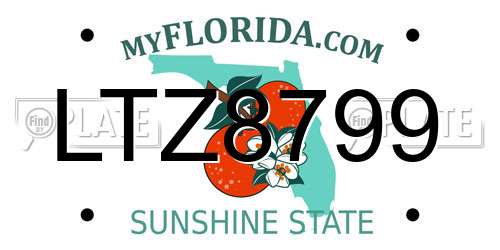 LTZ8799 Florida License Plate