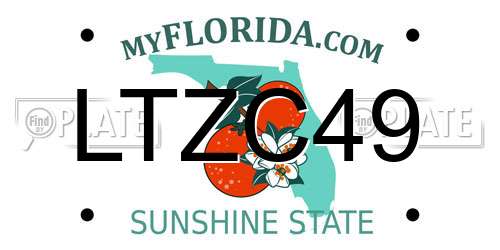LTZC49 Florida License Plate