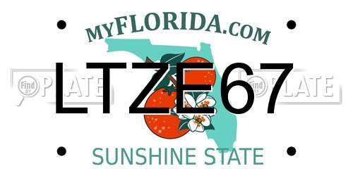 LTZE67 Florida License Plate