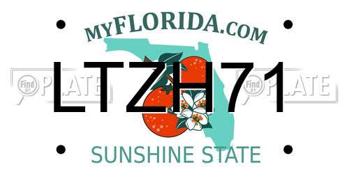 LTZH71 Florida License Plate