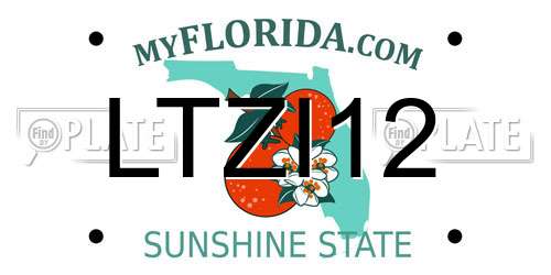 LTZI12 Florida License Plate
