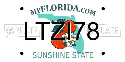 LTZI78 Florida License Plate