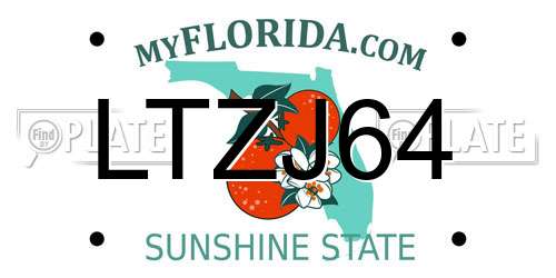 LTZJ64 Florida License Plate