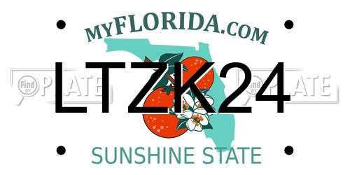 LTZK24 Florida License Plate