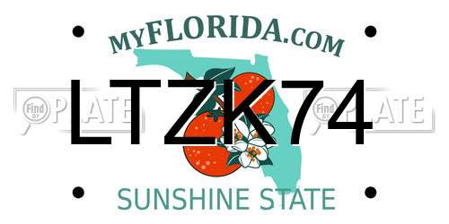 LTZK74 Florida License Plate
