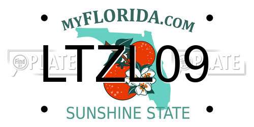 LTZL09 Florida License Plate
