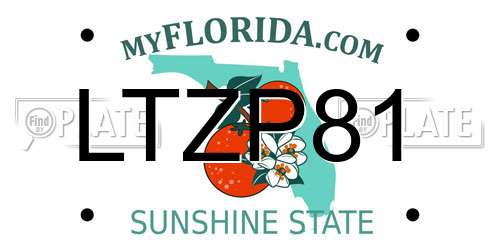 LTZP81 Florida License Plate