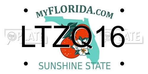 LTZQ16 Florida License Plate