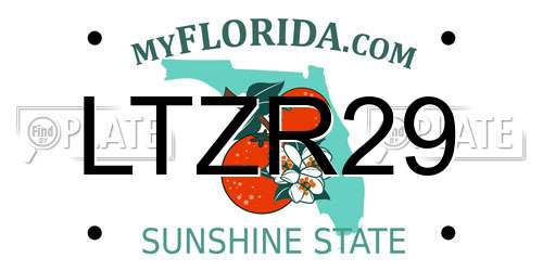 LTZR29 Florida License Plate