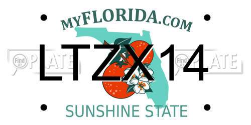 LTZX14 Florida License Plate