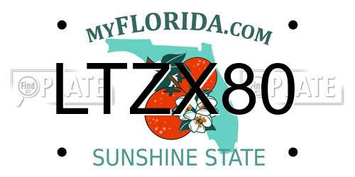 LTZX80 Florida License Plate