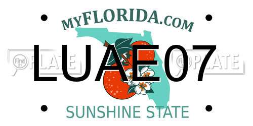 LUAE07 Florida License Plate