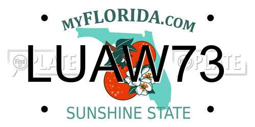 LUAW73 Florida License Plate