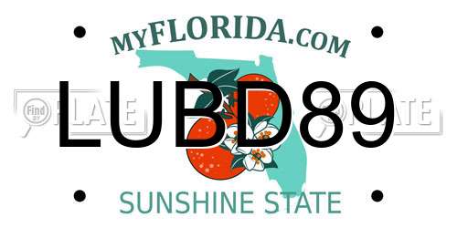 LUBD89 Florida License Plate