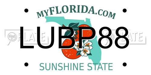 LUBP88 Florida License Plate