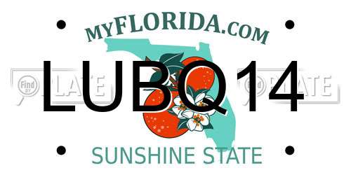 LUBQ14 Florida License Plate