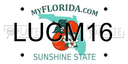 LUCM16 Florida License Plate