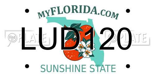 LUD120 Florida License Plate