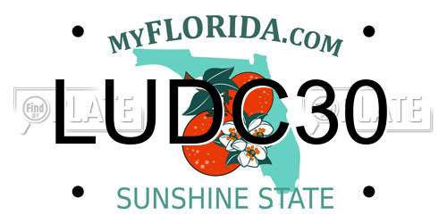 LUDC30 Florida License Plate