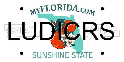 LUDICRS Florida License Plate