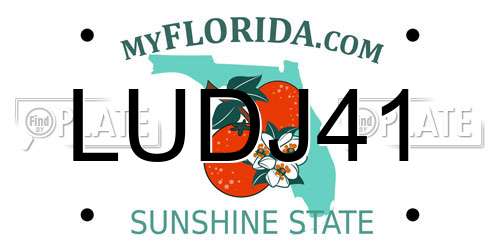 LUDJ41 Florida License Plate