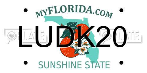 LUDK20 Florida License Plate