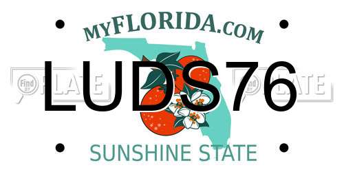 LUDS76 Florida License Plate