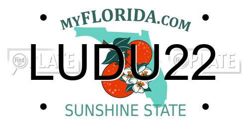 LUDU22 Florida License Plate