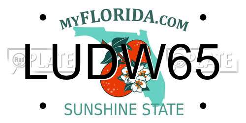 LUDW65 Florida License Plate