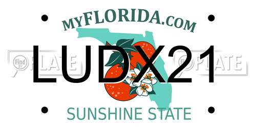 LUDX21 Florida License Plate