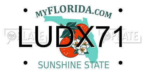 LUDX71 Florida License Plate